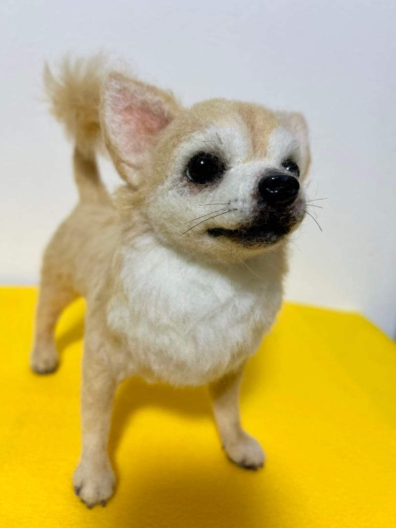 羊毛フェルト　チワワ　サマーカット