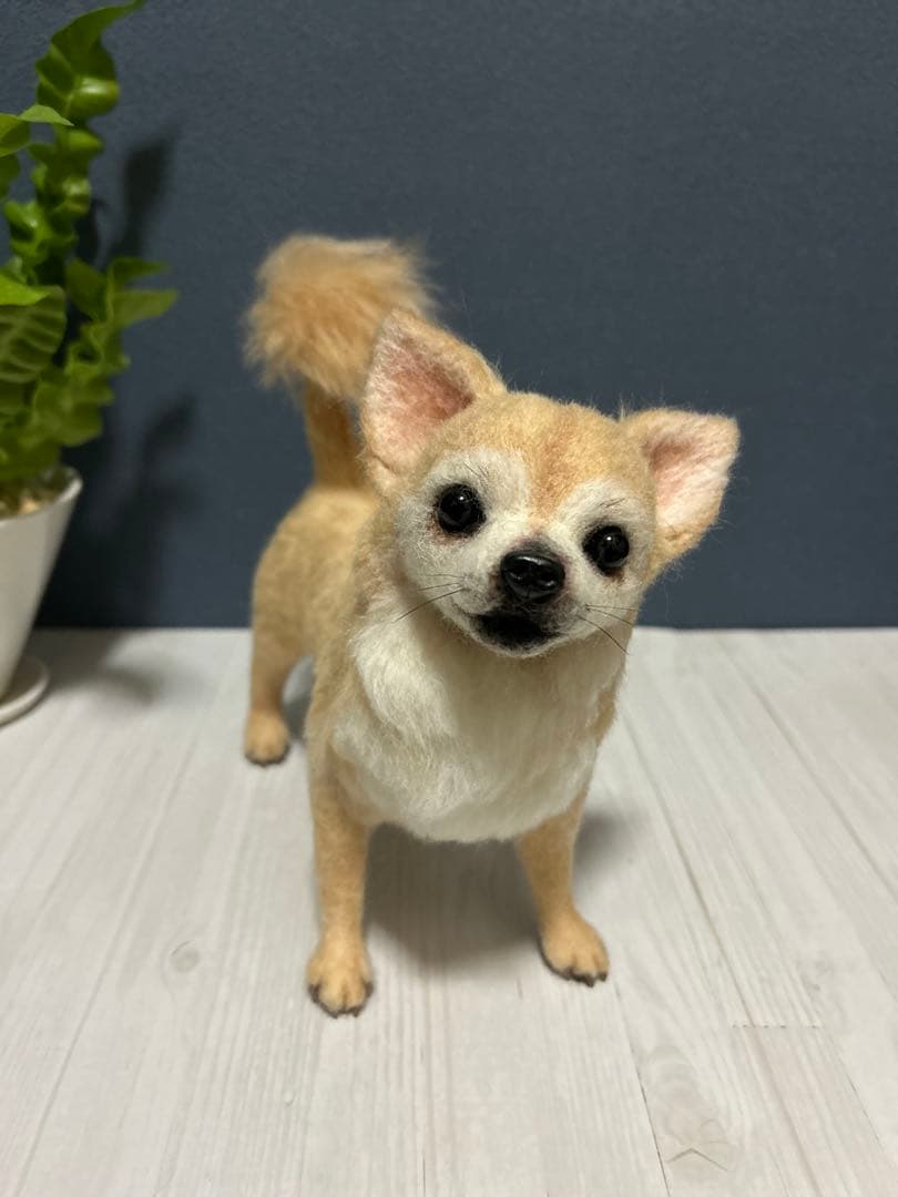 羊毛フェルト　チワワ　サマーカット