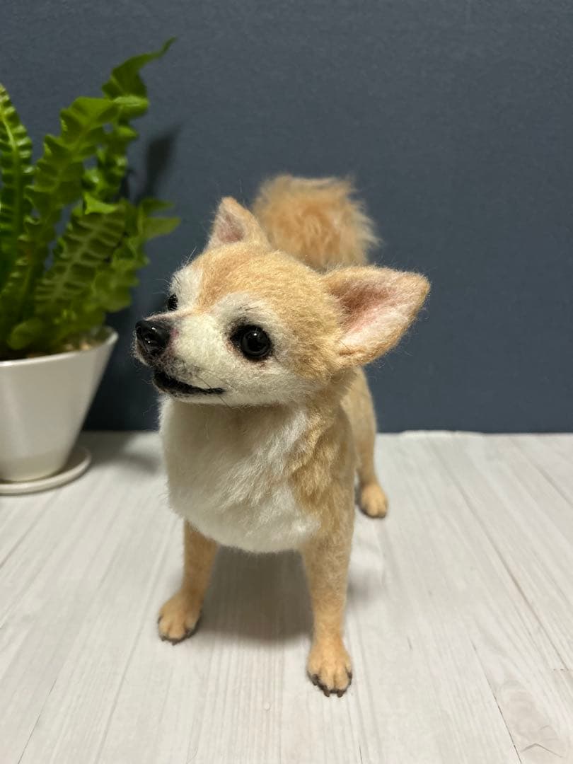 羊毛フェルト　チワワ　サマーカット