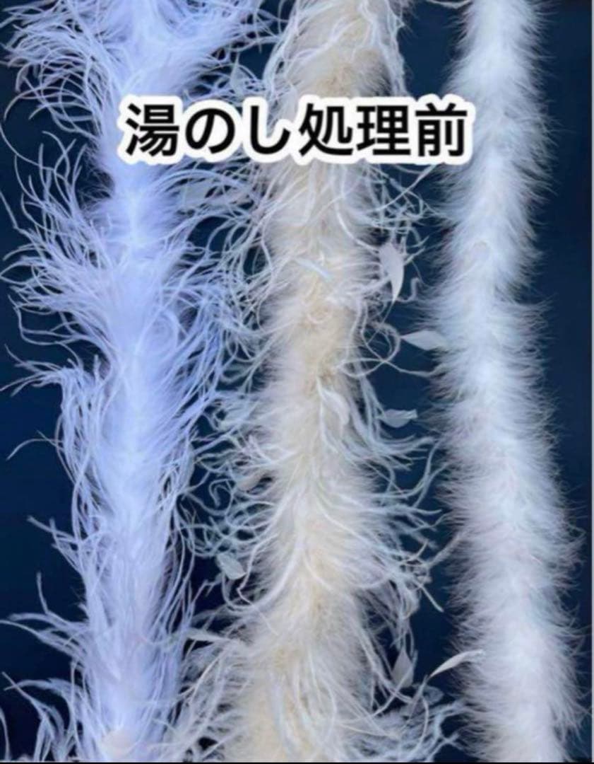 #58 高級オリジナルオーストリッチマラボー　1本