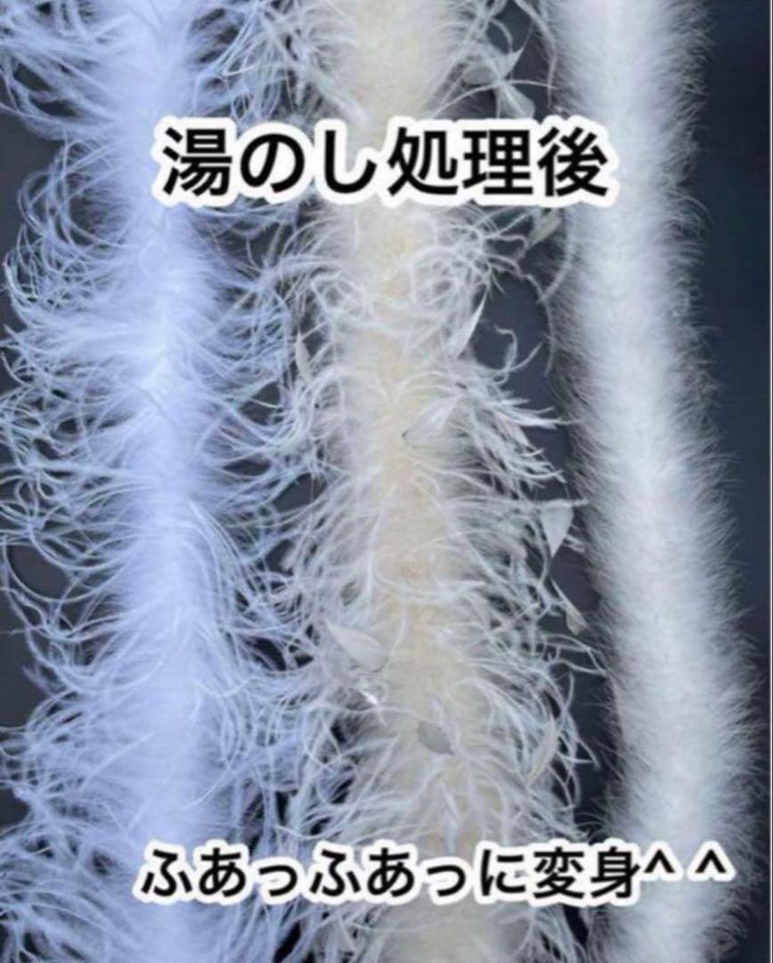 #58 高級オリジナルオーストリッチマラボー　1本