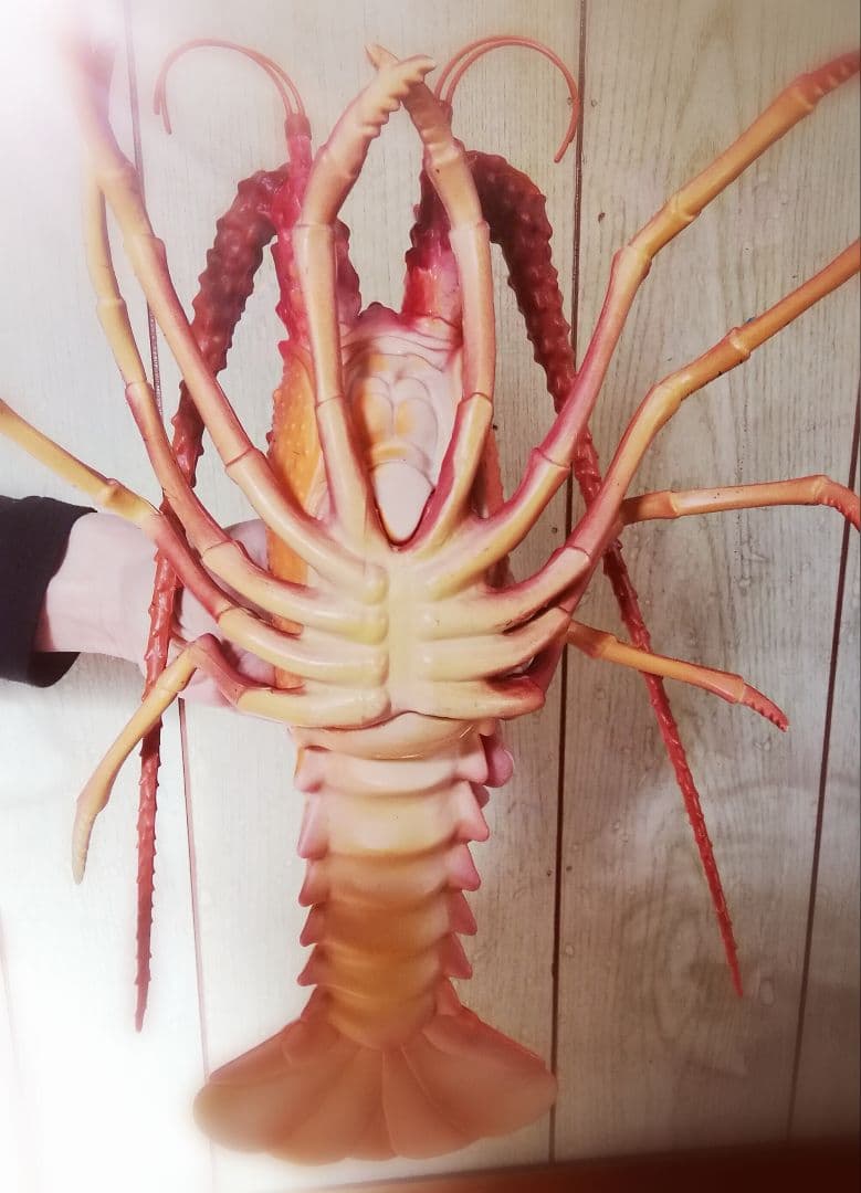 ☆実物大☆伊勢海老の置物 店舗用やインテリア、コスプレアイテムに♪