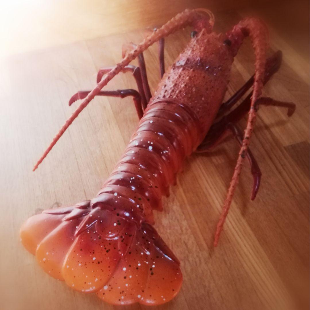 ☆実物大☆伊勢海老の置物 店舗用やインテリア、コスプレアイテムに♪