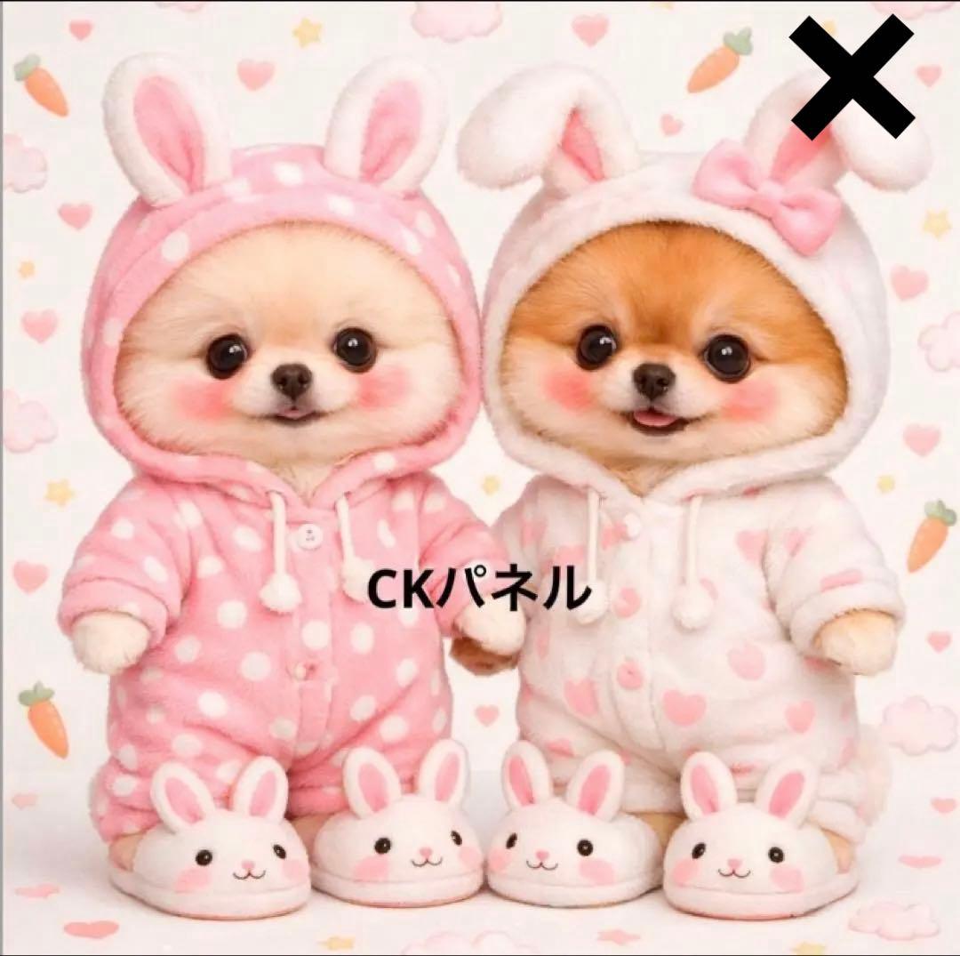 確認用 柴犬 ポメラニアン プードル パグ ヨーキー