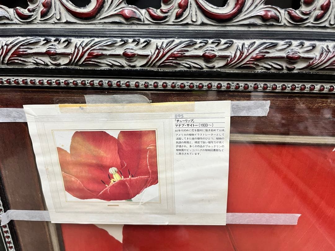 油絵 赤いチューリップ