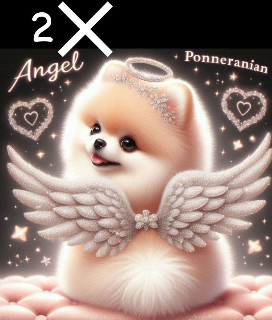 オーダー受付 ポメラニアン エンジェル 限定パネル ご予約ページ 5/23