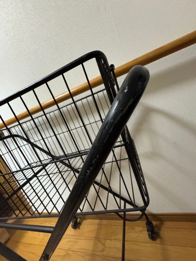 ジャーナルスタンダード　カート