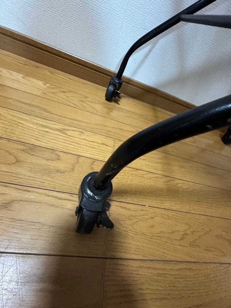 ジャーナルスタンダード　カート