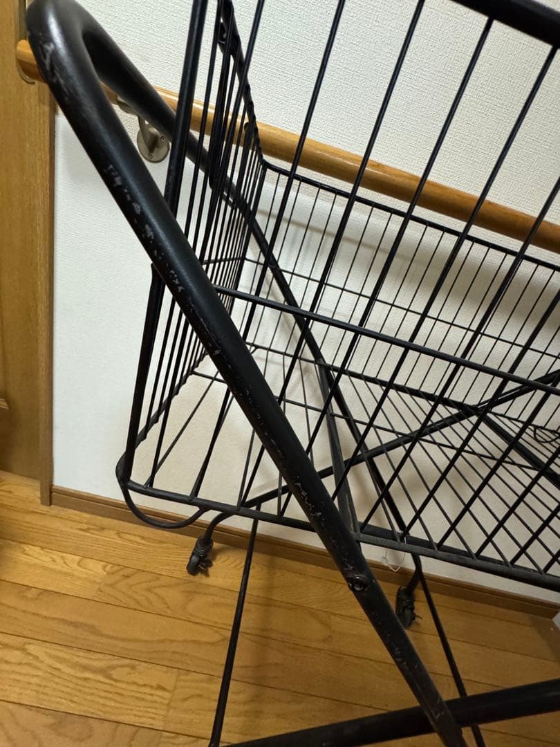 ジャーナルスタンダード　カート