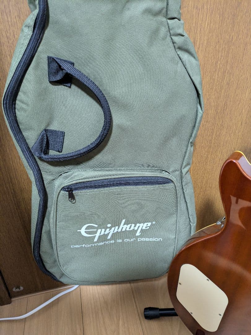 ギター Epiphone Les Paul Standard Plus Top Pro