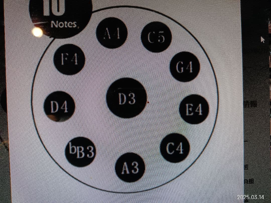 ハンドパン　10音　 22インチ(約56cm)　Dマイナー　 試奏動画あり