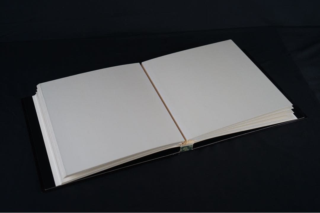 能登輪島塗 新屋謹製 大見謝 恒雄 作 土佐絵風描画 蒔絵写真帳 共箱 木製漆器