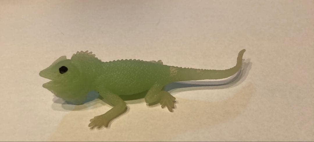 ディアゴスティーニ イグアナ&coコンプリート22体 - メルカリ