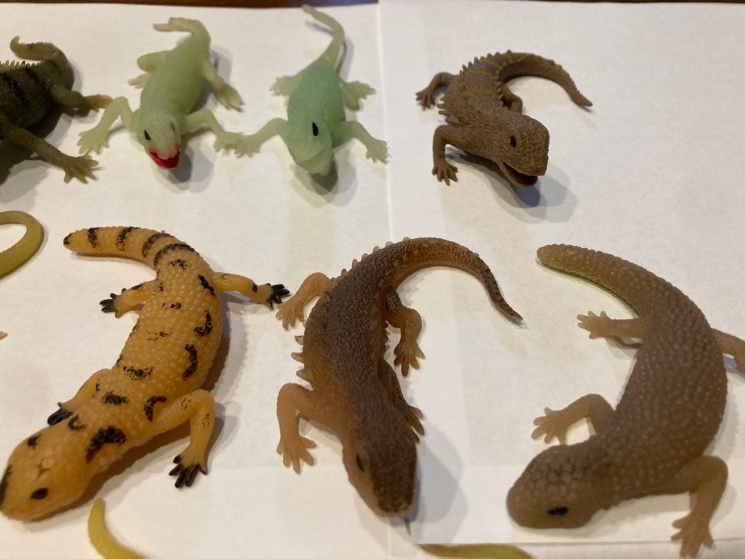 ディアゴスティーニ イグアナ&coコンプリート22体 - メルカリ