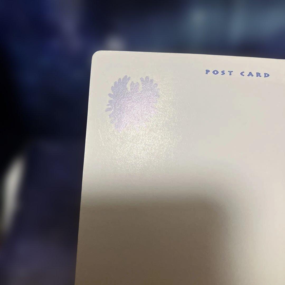 ポケモンカード ファンクラブ【トロピカルプレゼント】夏休み