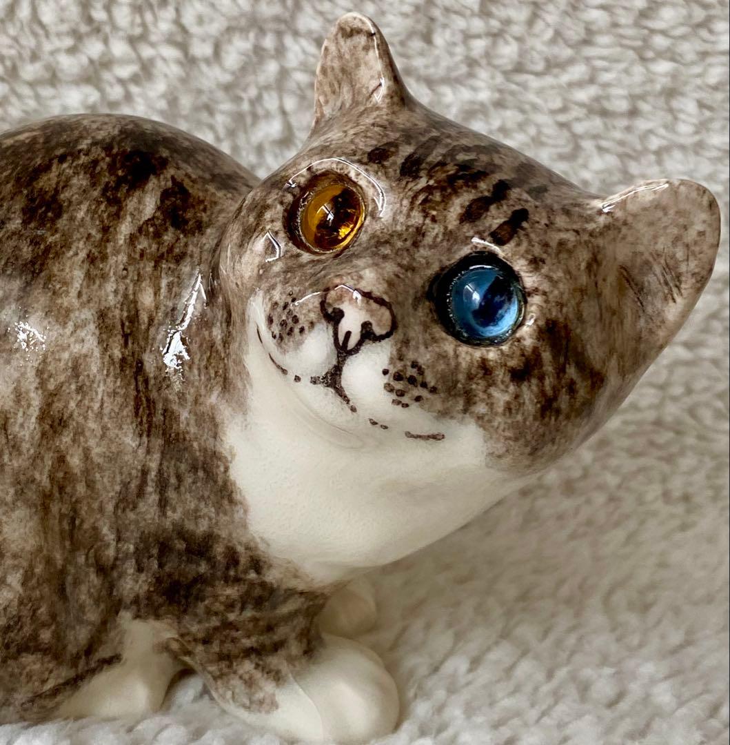 ウィンスタンレイキャット　ケンジントンキャット　丸まり猫　オッドアイ　サイズ2