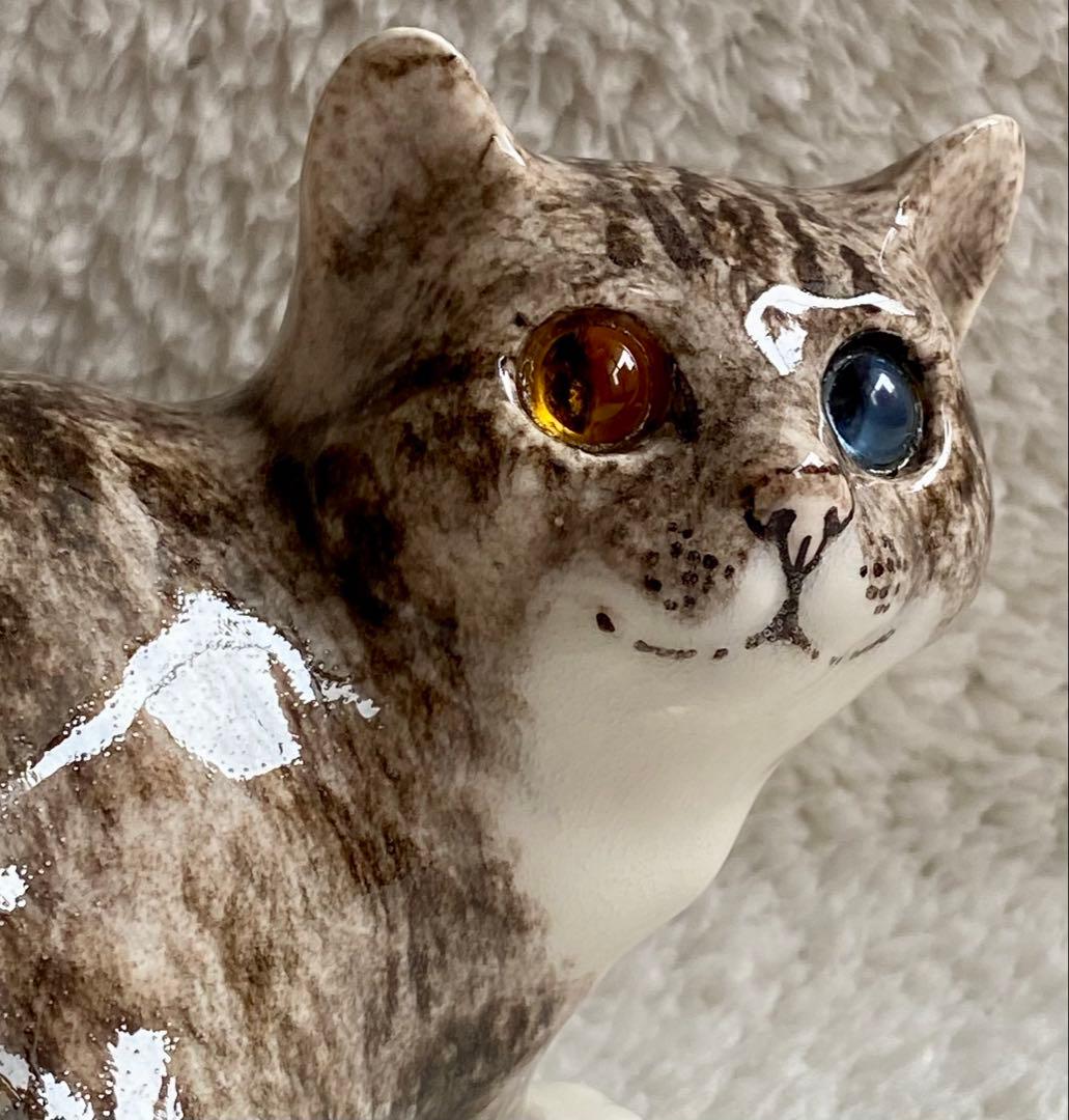 ウィンスタンレイキャット　ケンジントンキャット　丸まり猫　オッドアイ　サイズ2