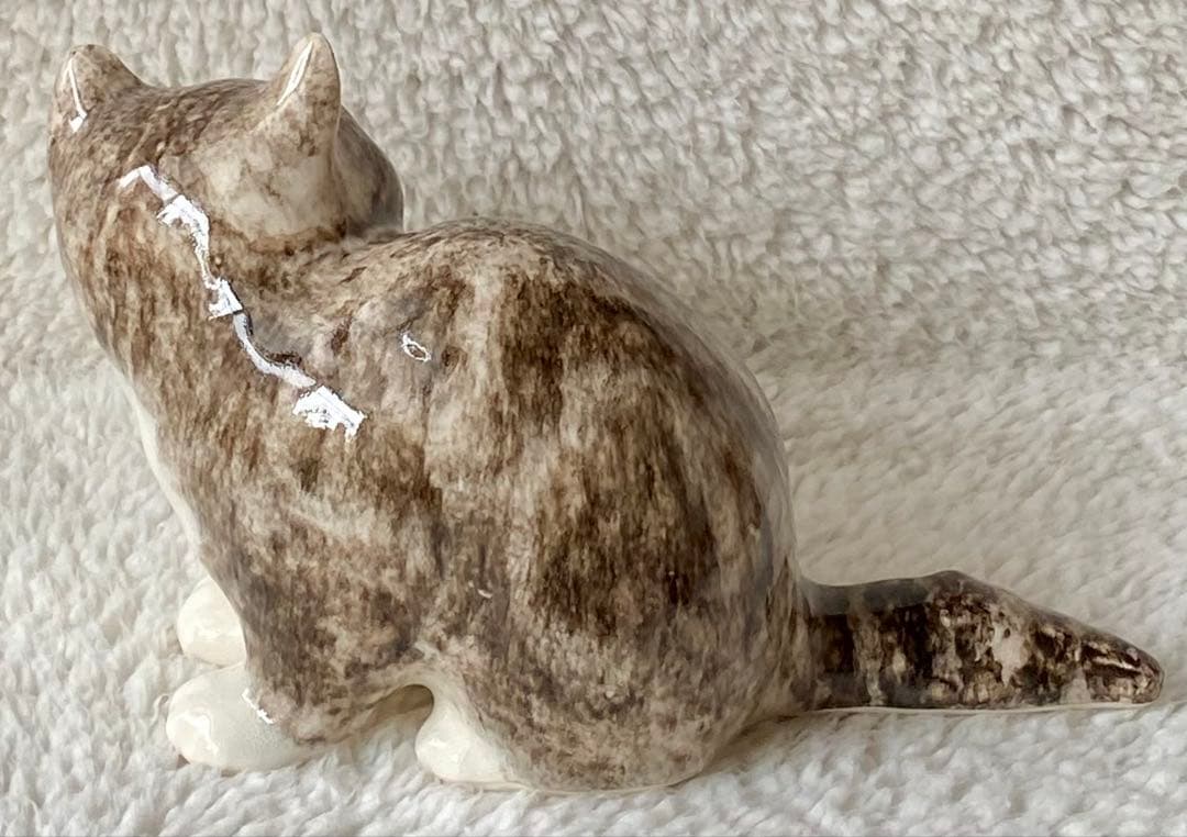 ウィンスタンレイキャット　ケンジントンキャット　丸まり猫　オッドアイ　サイズ2