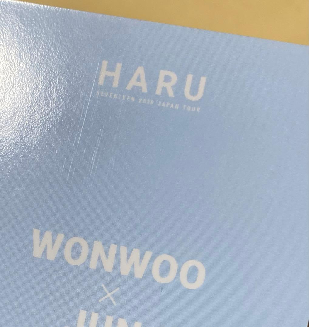 SEVENTEEN ジュン ウォヌ HARU ペアトレカ セブチ