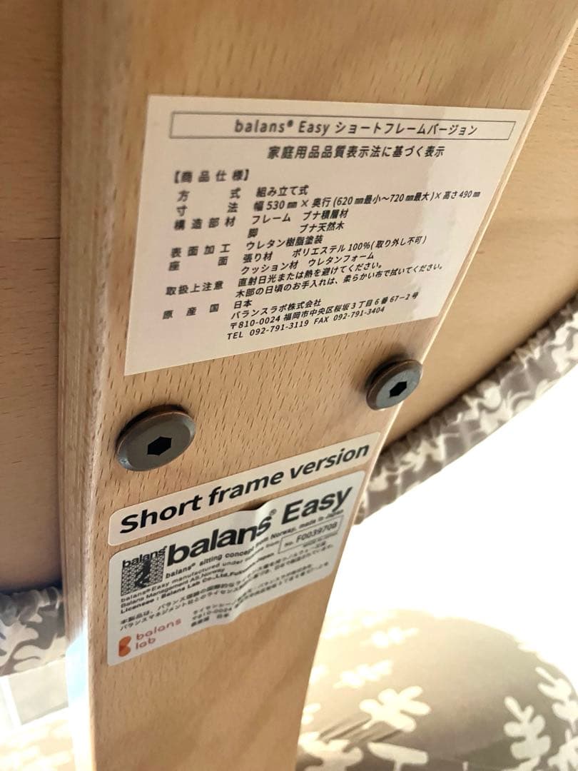 未使用　バランスイージー Balans Easy 正規品　ショートフレーム