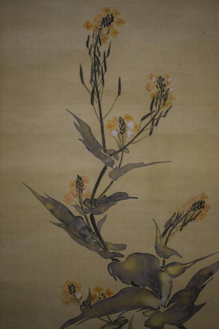 模写/酒井抱一/花蝶図/絹表装/布袋屋掛軸HG-231