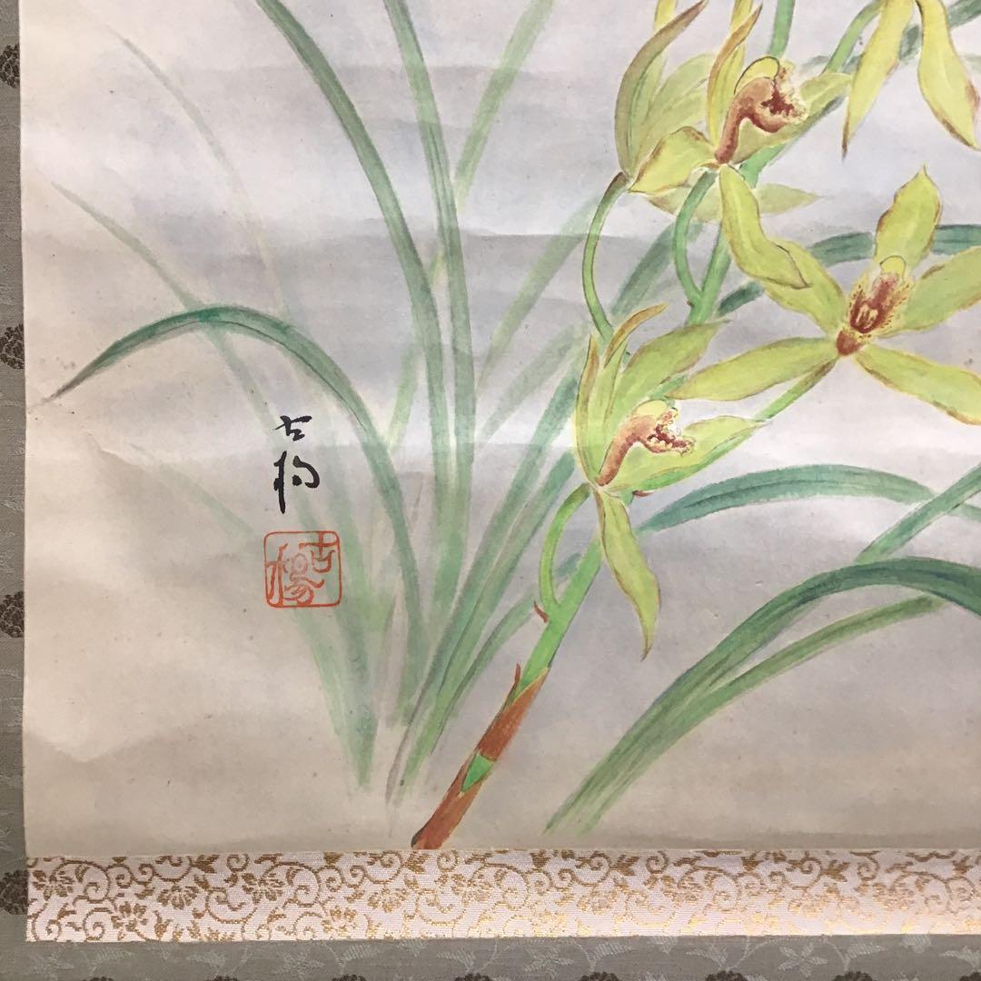 K茶道具 掛軸 「洋蘭の図」 古楊作 共箱 S1007KJ
