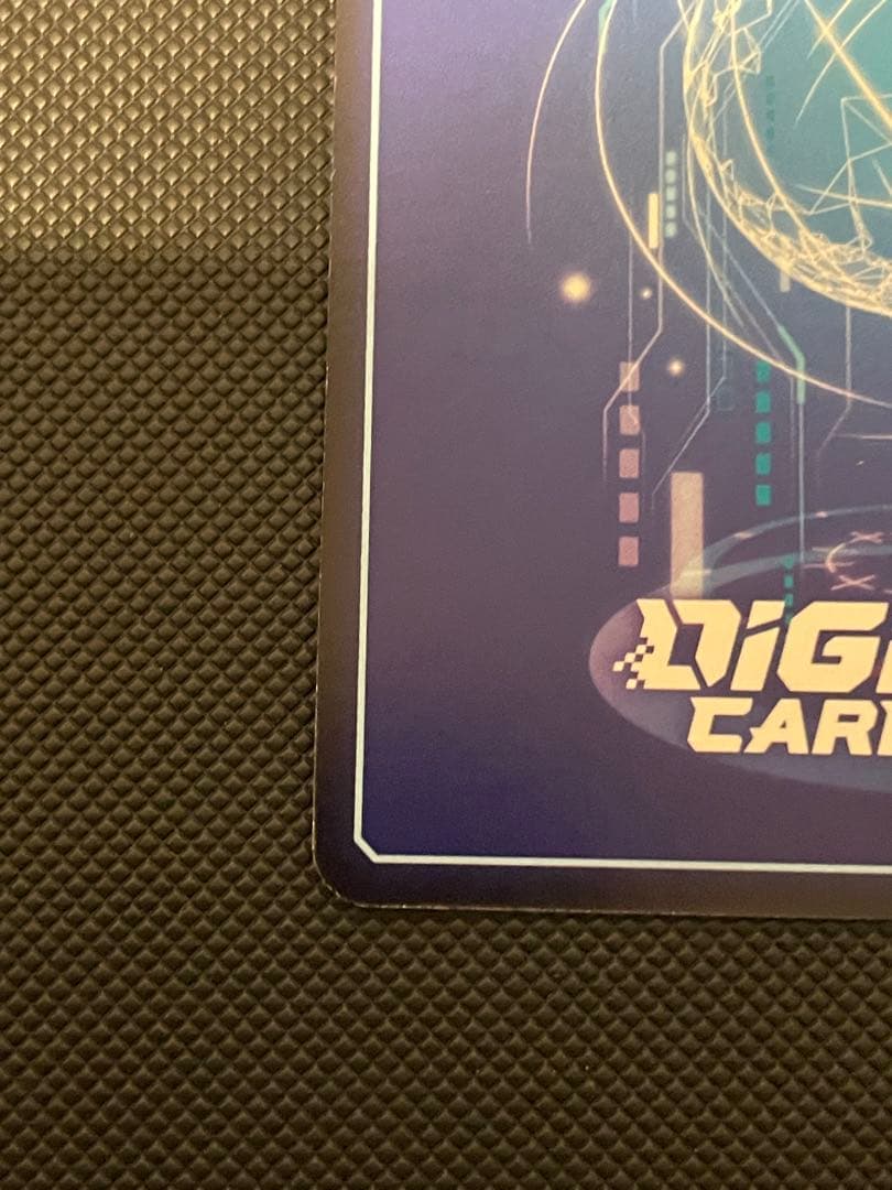 プ*チ様 デジモン sp ヒロコ