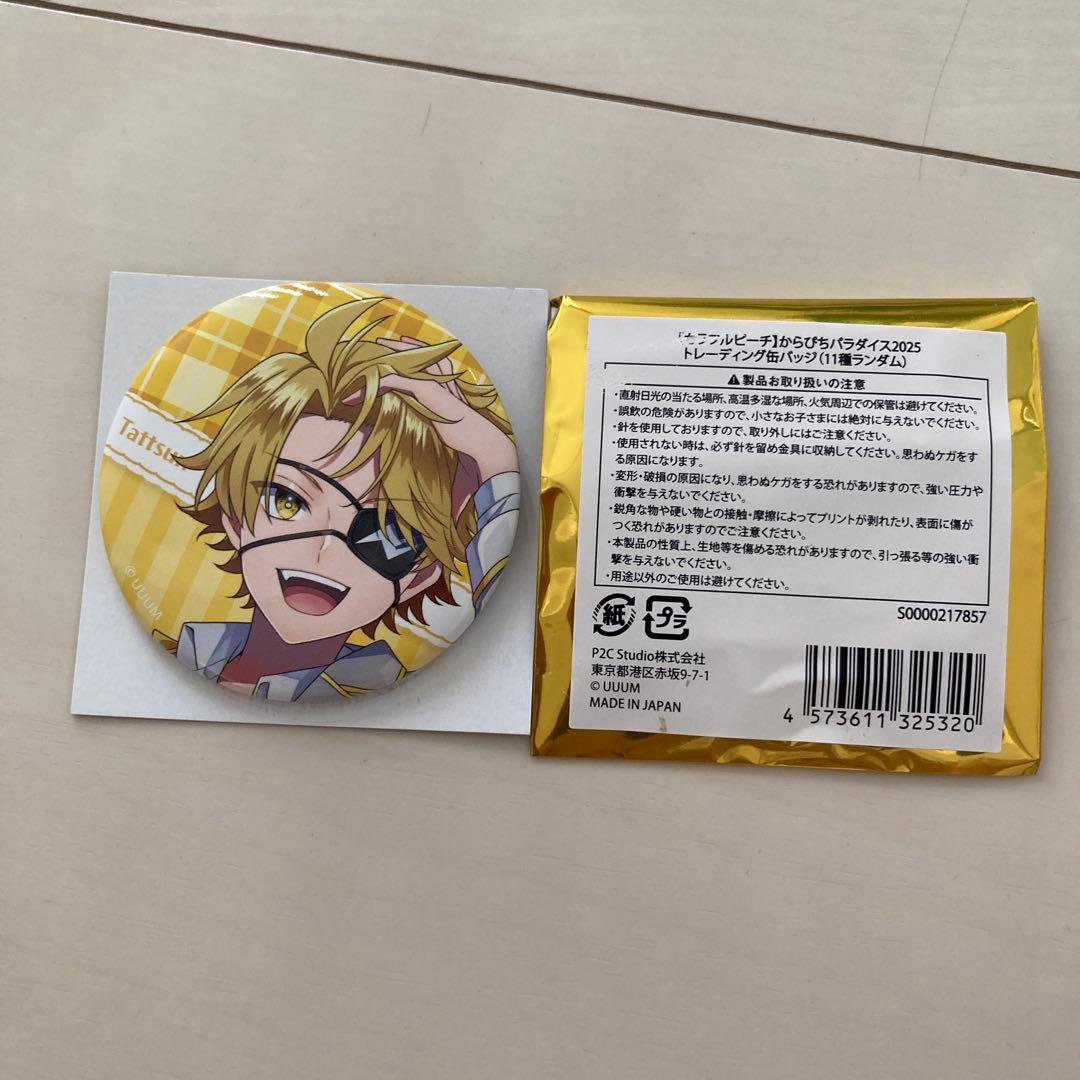 カラフルピーチたつつん缶バッジ☆からぴち☆カラフルピーチ☆たっつん