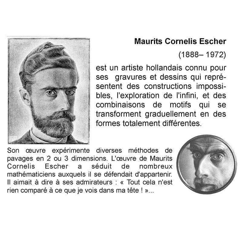 希少限定品！額装済/morphosis /MC Escher/エッシャー