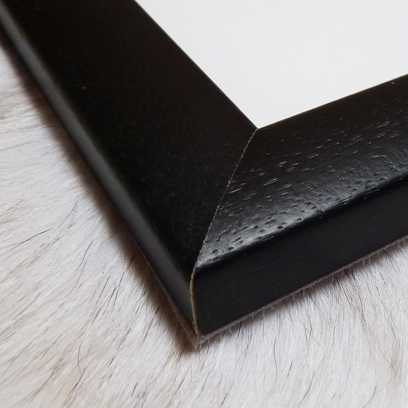 希少限定品！額装済/morphosis /MC Escher/エッシャー