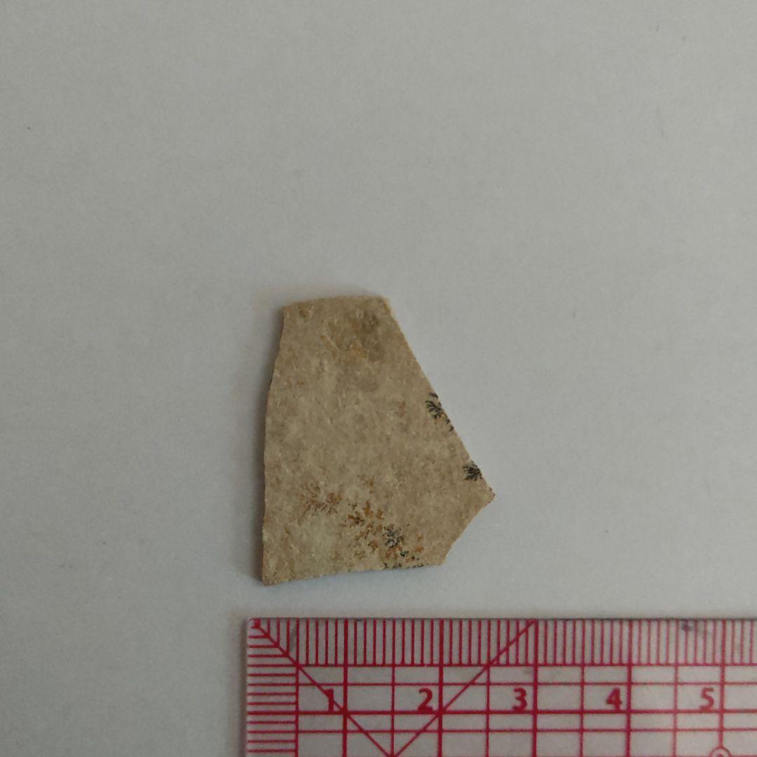 忍石　標本　石　採掘　発掘　考古学　Dendrite