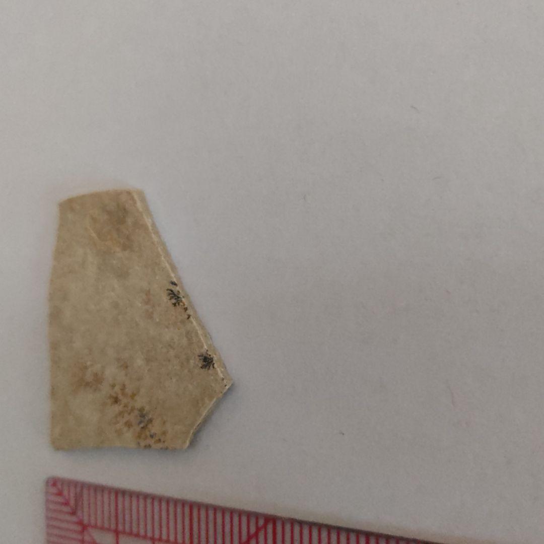 忍石　標本　石　採掘　発掘　考古学　Dendrite