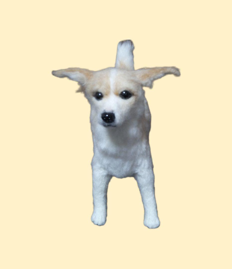 愛犬の羊毛フェルトオーダー・ym．様ご確認専用ページ
