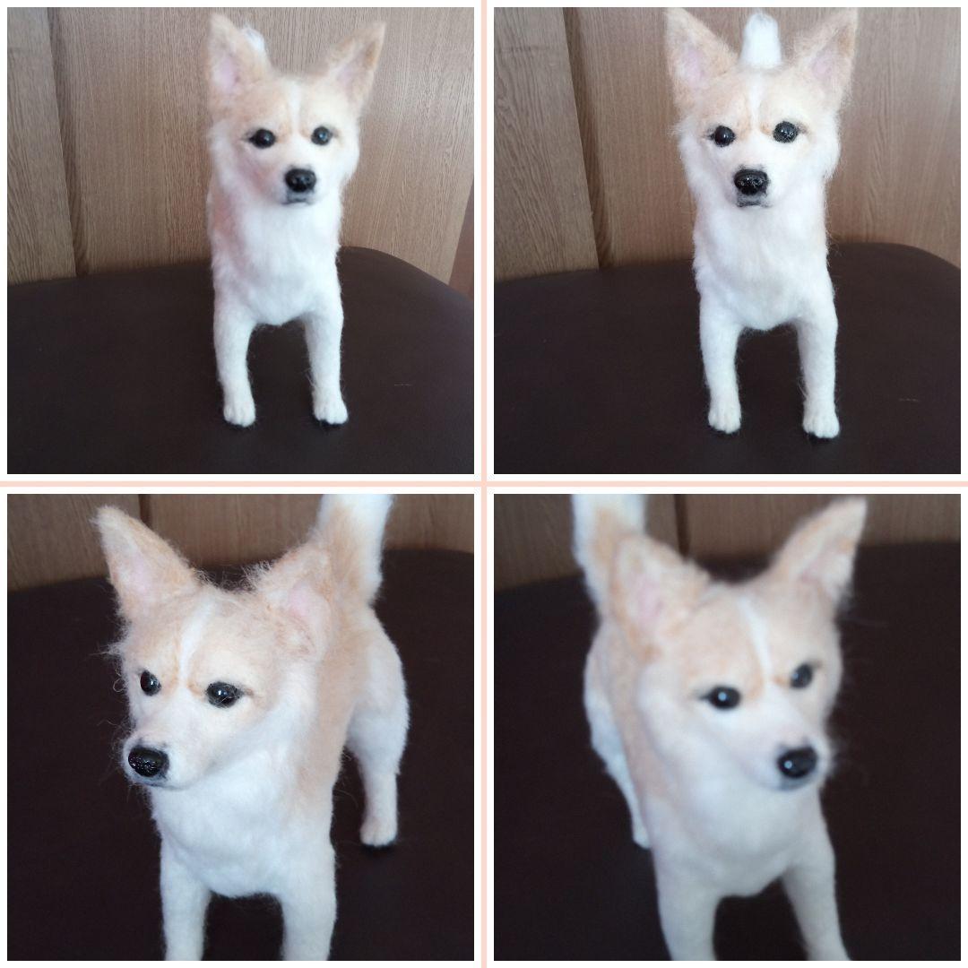 愛犬の羊毛フェルトオーダー・ym．様ご確認専用ページ