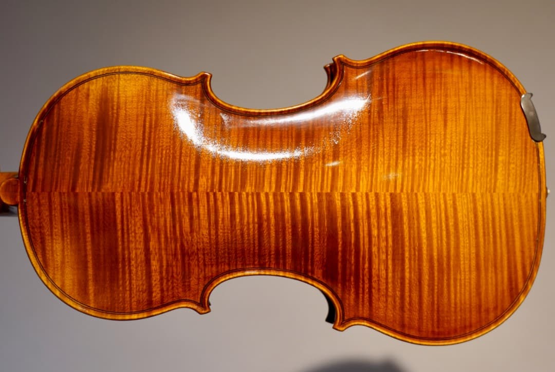 別格】R.Paesold No.806 バイオリン 4/4 - メルカリ