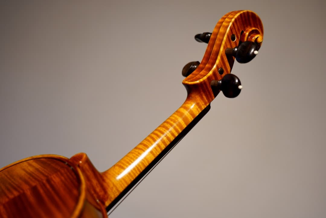 別格】R.Paesold No.806 バイオリン 4/4 - メルカリ