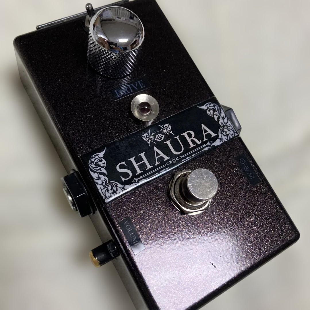 ギター R.E.SCustomRichard Efectric sound SHAURA