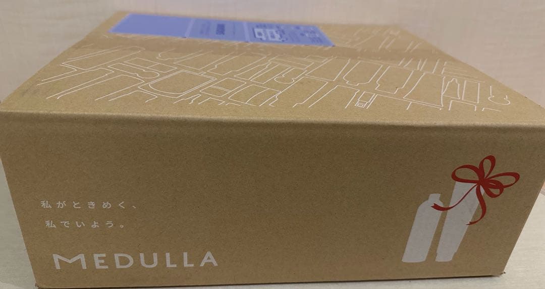 MEDULLA 超音波アイロン