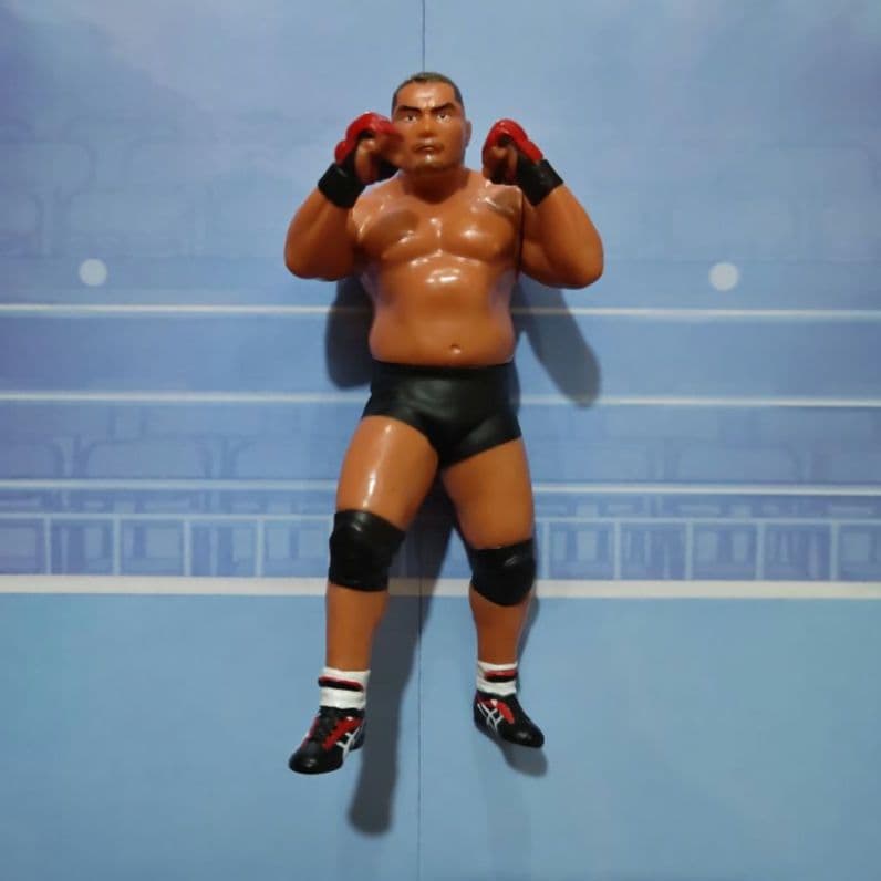 ボブ・サップ 中西学 プロレスフィギュアセット - メルカリ