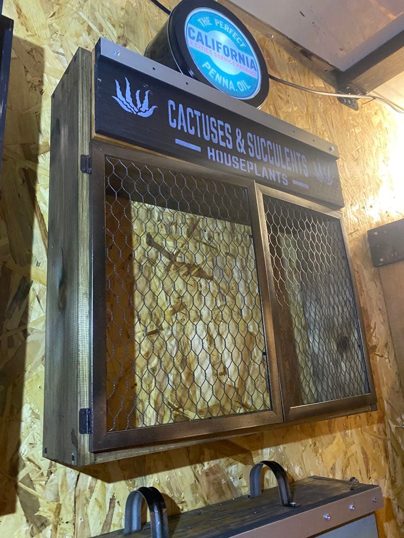 照明付き棚　多肉　アガベ　カルフォルニア　ドライガーデン