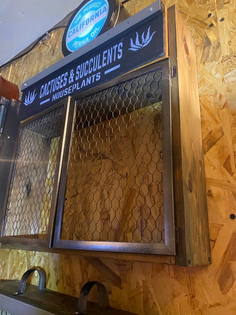 照明付き棚　多肉　アガベ　カルフォルニア　ドライガーデン