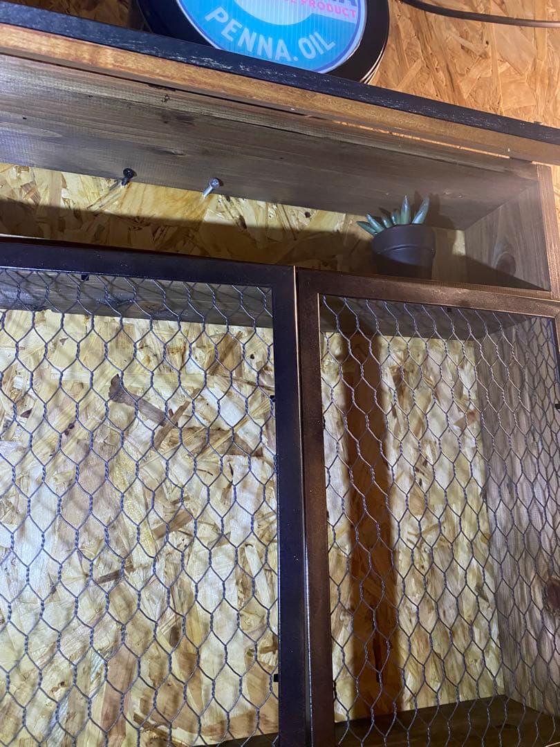 照明付き棚　多肉　アガベ　カルフォルニア　ドライガーデン