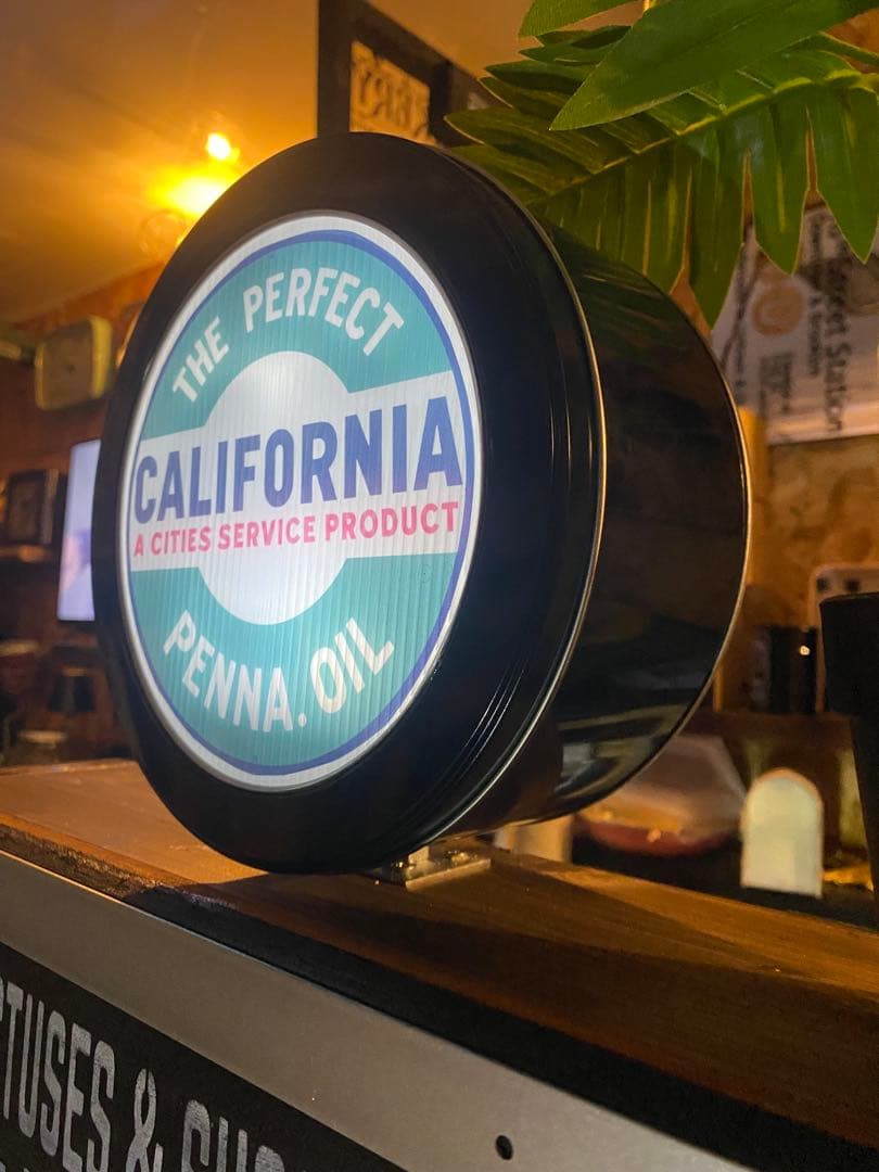 照明付き棚　多肉　アガベ　カルフォルニア　ドライガーデン