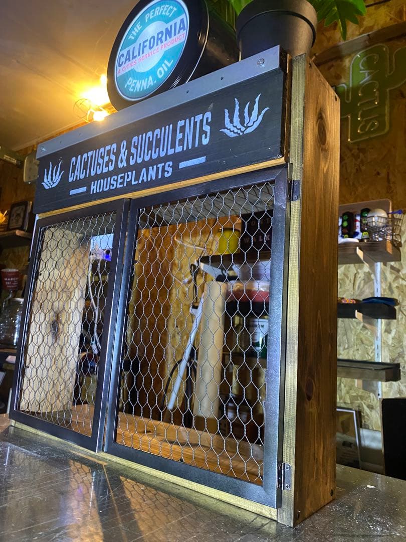 照明付き棚　多肉　アガベ　カルフォルニア　ドライガーデン