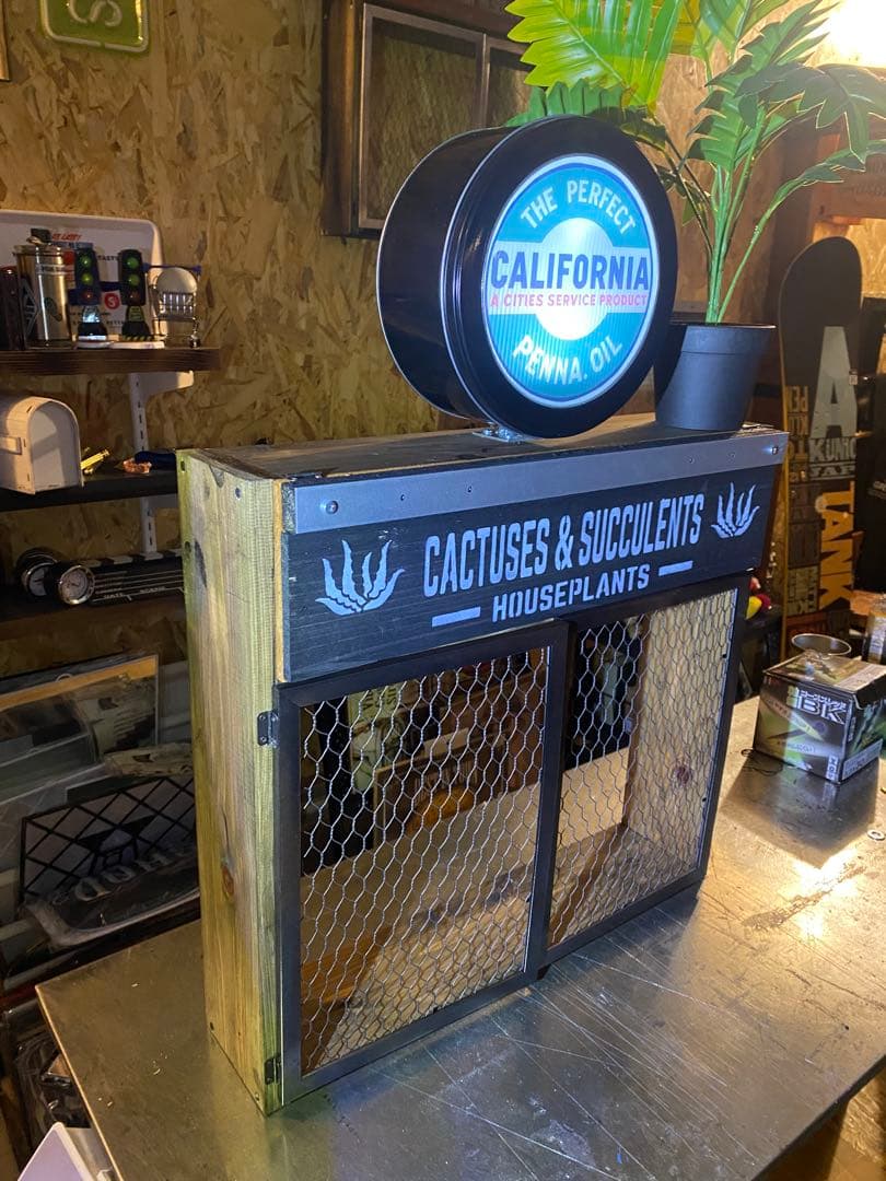 照明付き棚　多肉　アガベ　カルフォルニア　ドライガーデン