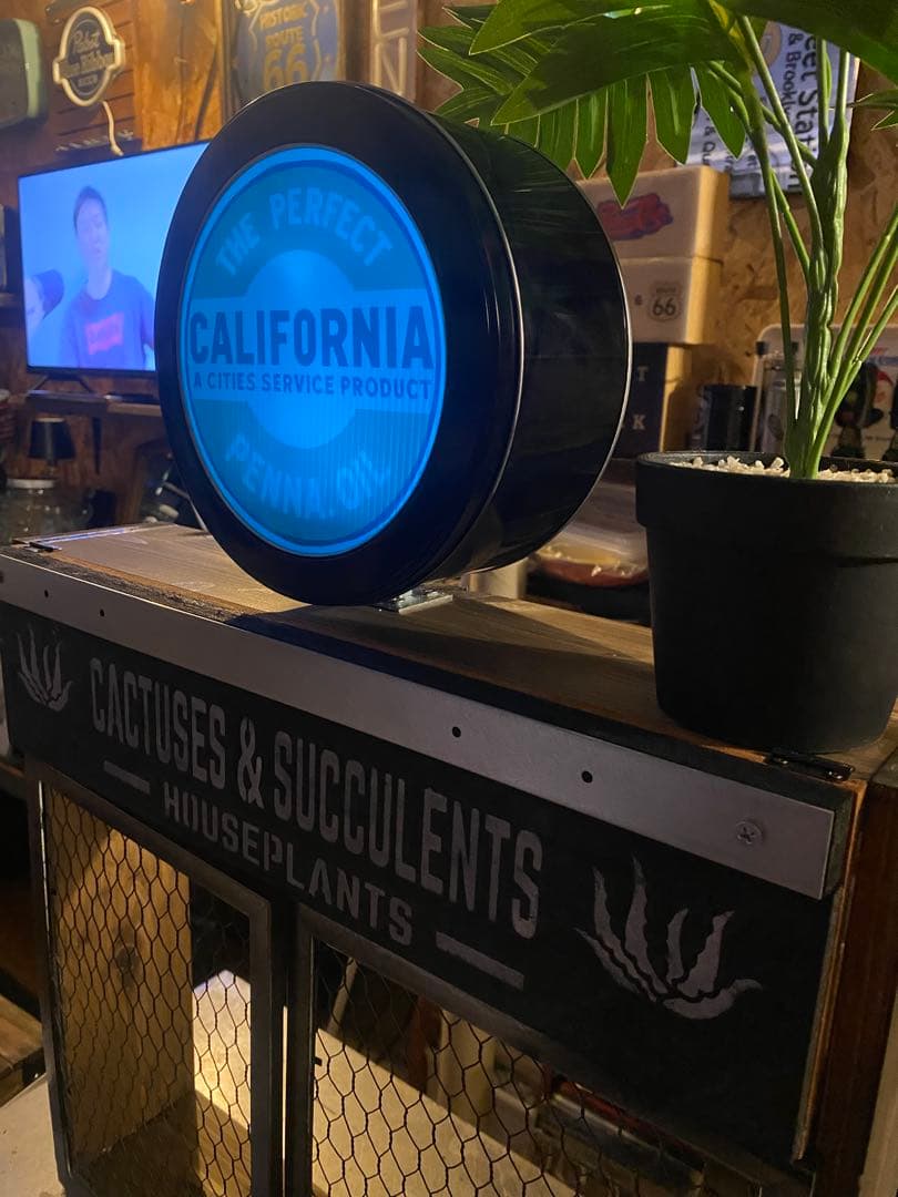 照明付き棚　多肉　アガベ　カルフォルニア　ドライガーデン