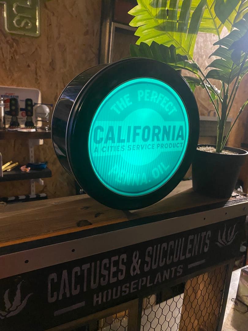 照明付き棚　多肉　アガベ　カルフォルニア　ドライガーデン