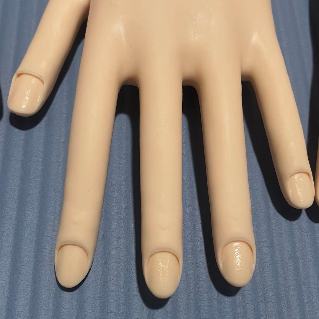 JENC 認定モデルハンド ネイリスト技能検定試験 STモデルハンド