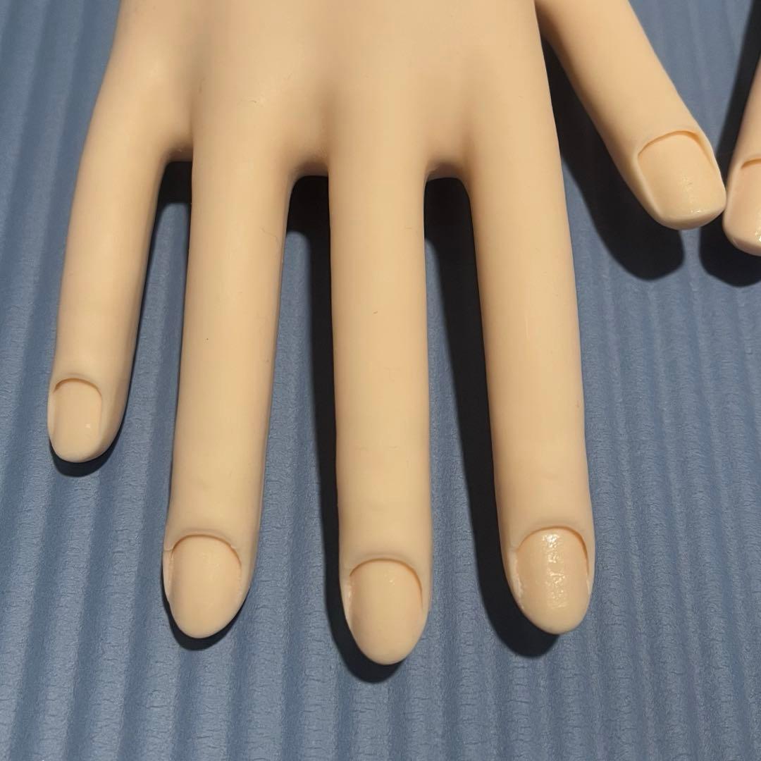 JENC 認定モデルハンド ネイリスト技能検定試験 STモデルハンド