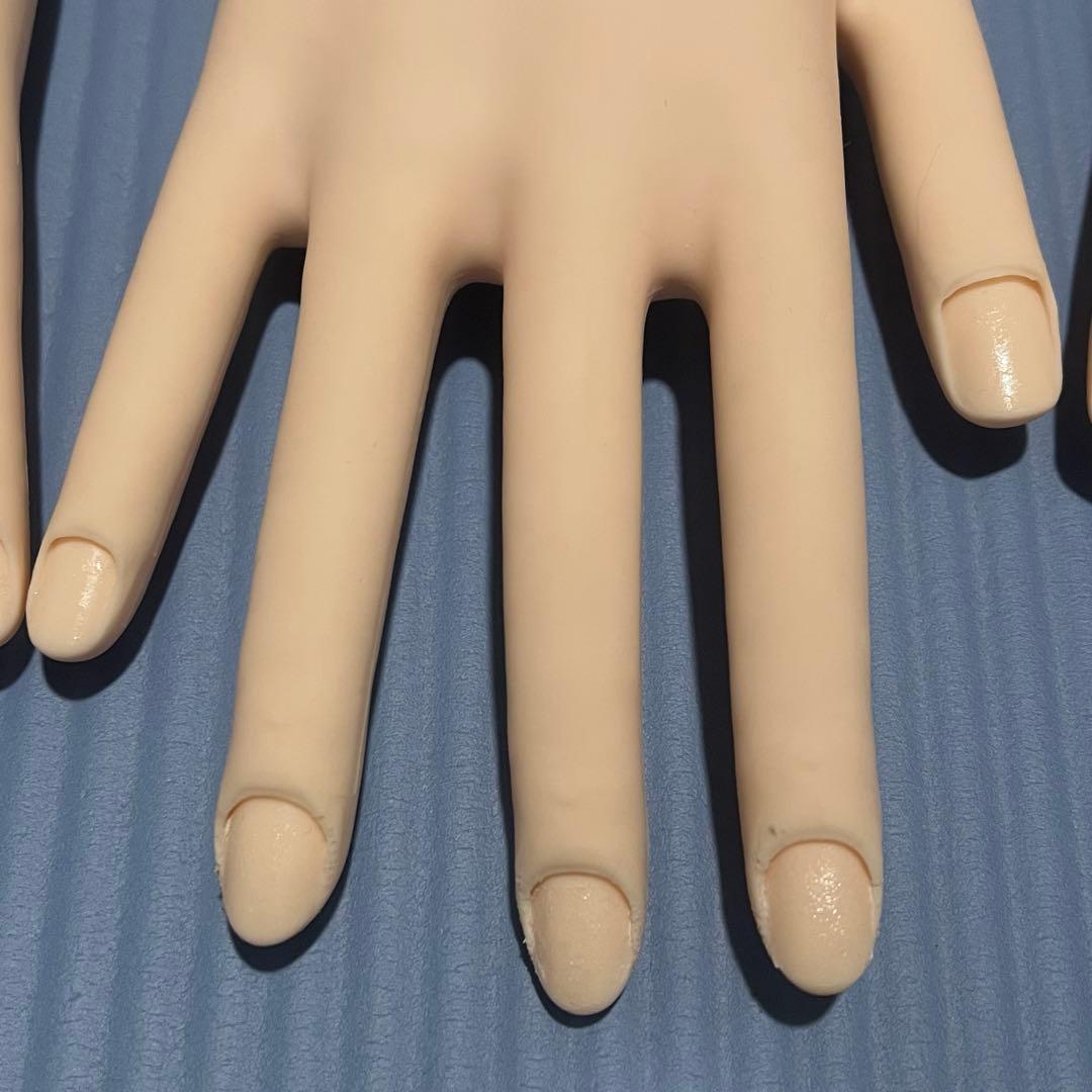 JENC 認定モデルハンド ネイリスト技能検定試験 STモデルハンド